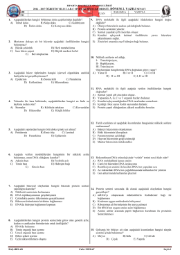 2016 – 2017 12 1-2 (1.dönem 2. yazılı cevaplı)