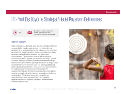 Yurt Dışı Büyüme Stratejisi / Hedef Pazarların Belirlenmesi