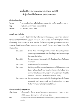 มะเกี๋ยง (Syzygium nervosum A. Cunn. ex DC.) พันธุ์