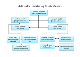 โครงสร้างองค์กร ม.7(1)