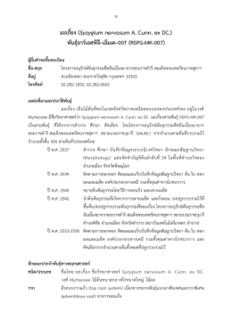 มะเกี๋ยง (Syzygium nervosum A. Cunn. ex DC.) พันธุ์