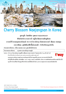 72-0417-cherry-blossom-naejangsan-in-korea-no-1 - SDTY-TOUR