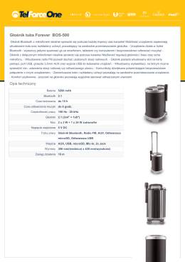 Głośnik tuba Forever BOS-500