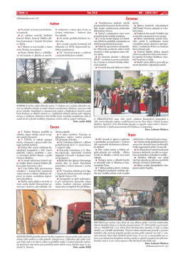 strana 14 - Jihlavsk&eacute; listy