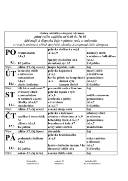 J&iacute;deln&iacute;ček M&Scaron; 96 od 9.1.