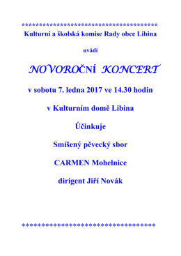 NOVOROČN&Iacute; KONCERT