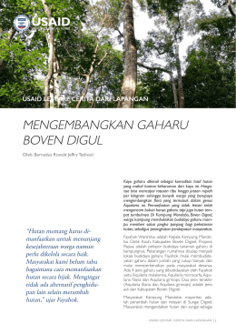 mengembangkan gaharu boven digul