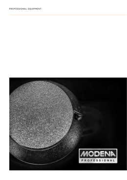 MODENA Professional Brochure