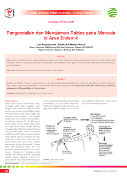Pengendalian dan Manajemen Rabies pada Manusia di