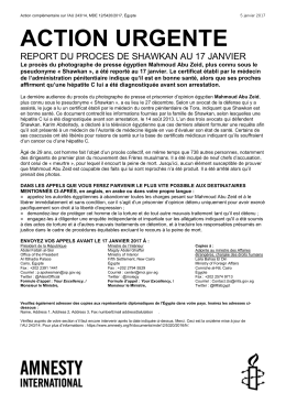 Report du proces de Shawkan au 17 janvier