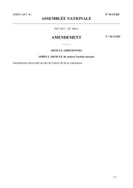 ASSEMBL&Eacute;E NATIONALE AMENDEMENT
