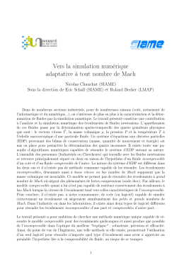 Vers la simulation numérique adaptative à tout nombre de Mach