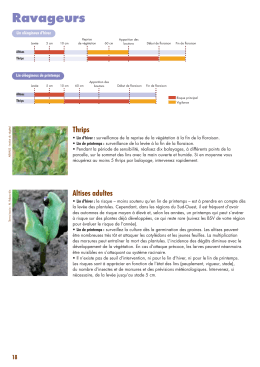 guide_culture_lin2016_LA_Mise en page 1
