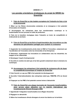 Annexe n°1 : Les grandes orientations stratégiques du projet de