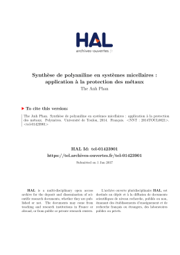 application à la protection des métaux - Tel