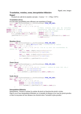 Translation, rotation, zoom, interpolation bilinéaire - pierre