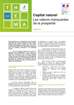 Capital naturel : les valeurs manquantes de la prospérité
