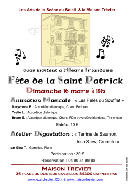F te de la Saint Patrick ê