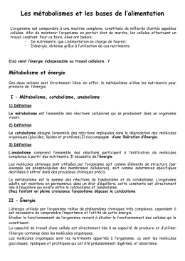 Les métabolismes et les bases de l`alimentation