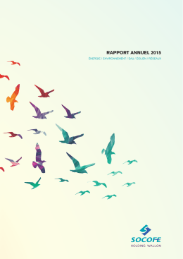 Rapport annuel 2015