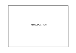 reproduction-vaccination