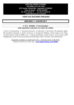 vente aux encheres publiques mercredi 11 janvier
