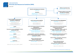 T&eacute;l&eacute;charger l`organigramme de la Direction des Ressources