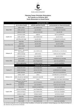 Planning Temps d`Activit&eacute;s P&eacute;riscolaires Du 3 janvier au 10 f&eacute;vrier