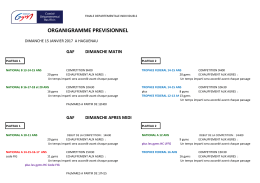 Organigramme prévisionnel INDIV GAF