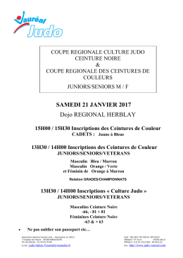 Coupe d&eacute;partementale Culture Judo Coupe