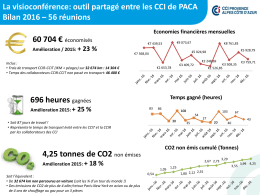 Consultez le bilan visioconférences 2016