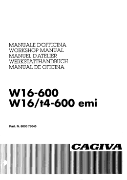 Cagiva W16-600, W16/t4-600 emi
