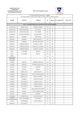 DQE Houplin Ancoisne lot 1