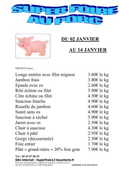 foire janvier 2017 site