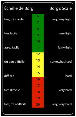 Borg Scale F first Bilingual_Tabloid