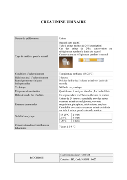 CREATININE URINAIRE