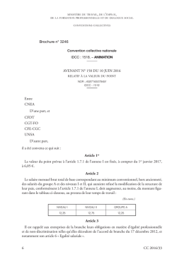 Animation : Avenant n&deg; 158 du 10 juin 2016 relatif &agrave; la valeur du point