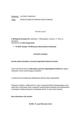 Elsőfokú bírságot és kötelezést kiszabó határozat H at á rozat A White