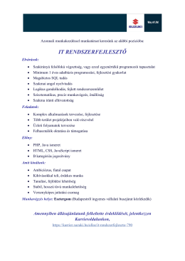IT RENDSZERFEJLESZTŐ