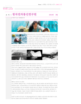 Home > 간행물 > 연구원 소식지 > 2004년 2월 사랑이 담긴 영화