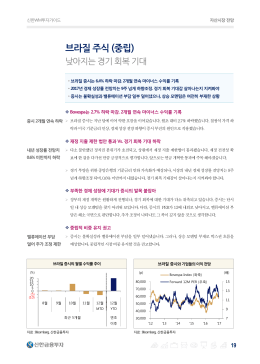 브라질 주식 (중립)