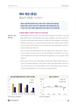 해외 채권 (중립)