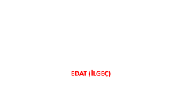 EDAT İLGEÇ