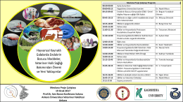 PowerPoint Sunusu - Ankara Üniversitesi