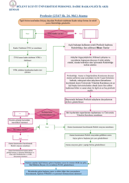 Profesör (2547 Sk. 26. Md.) Atama