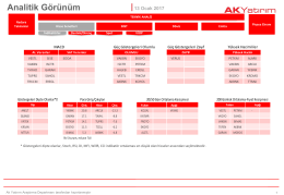 Analitik Görünüm