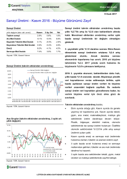 Sanayi Üretimi - Kasım 2016 - Büyüme Görünümü