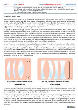 Kazanımlar: 8.4.1.2. Işığın kırılmasını, ince ve kalın