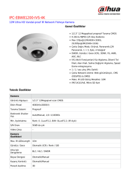 IPC-EBW81200-IVS-4K