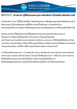 อย่าพลาด! ผู้ที่ชื่นชอบดอกกุหลาบต้องเดินทางไ